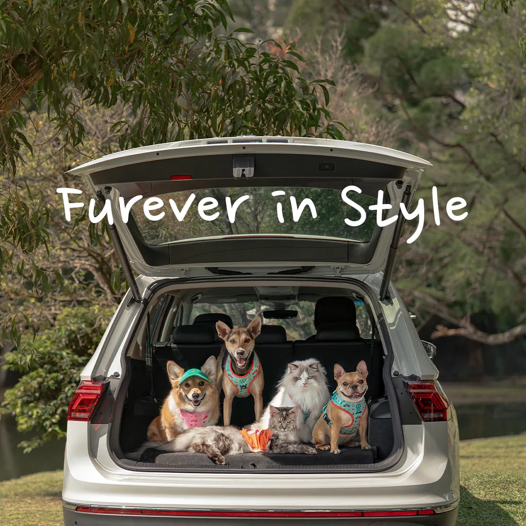 Volkswagen Furever in Style - mobile banner