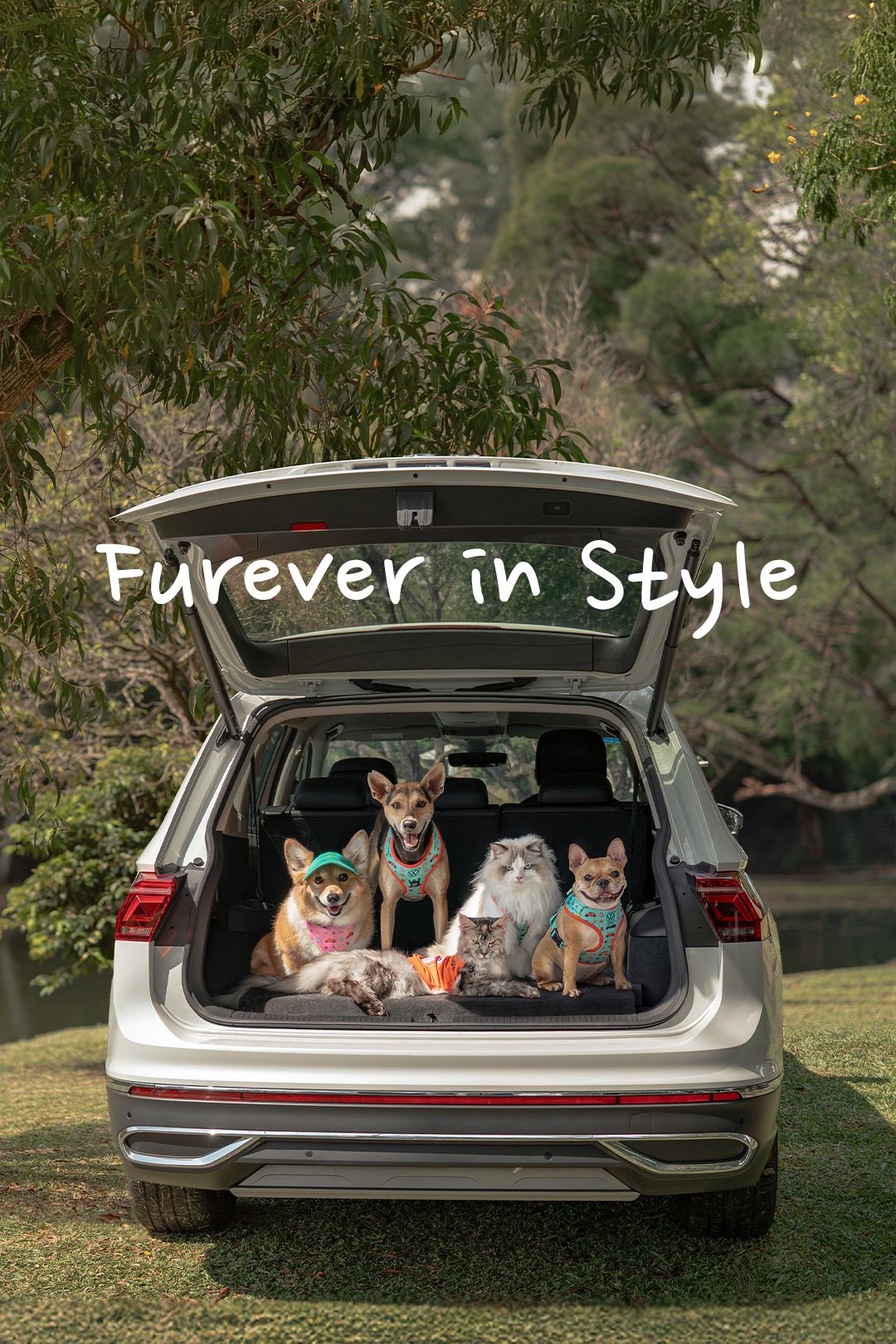 A group of pets decked in VW pet merch posing in a VW car