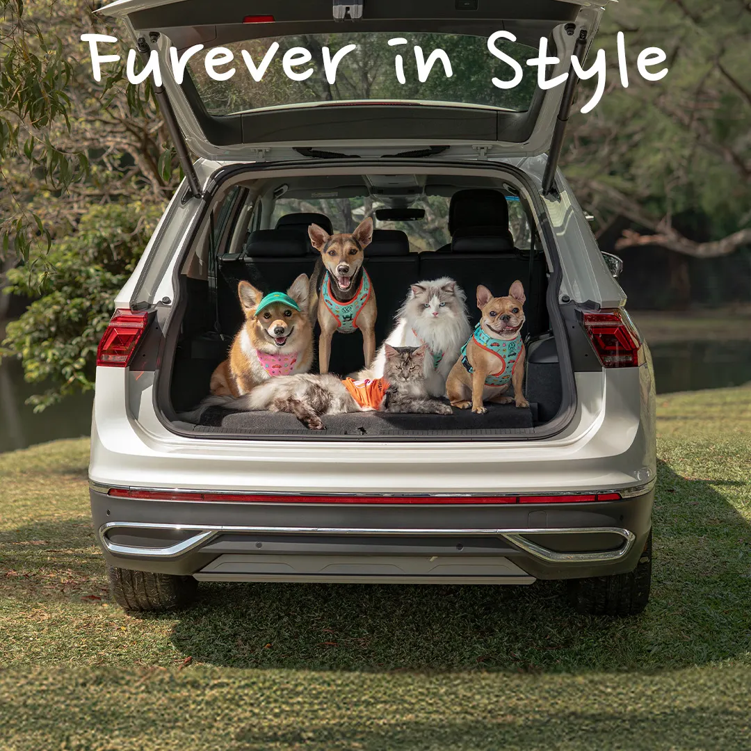 Volkswagen Furever in Style - mobile banner