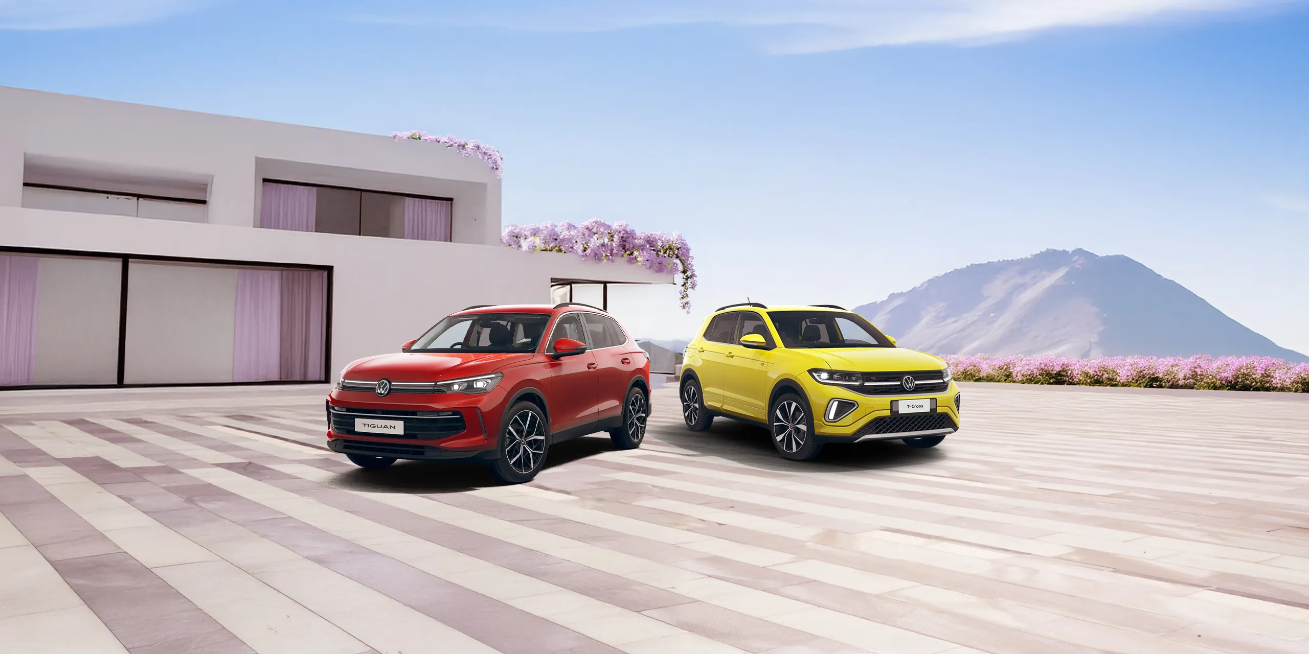 The Tiguan and T-cross showcased against a scenic pastel background