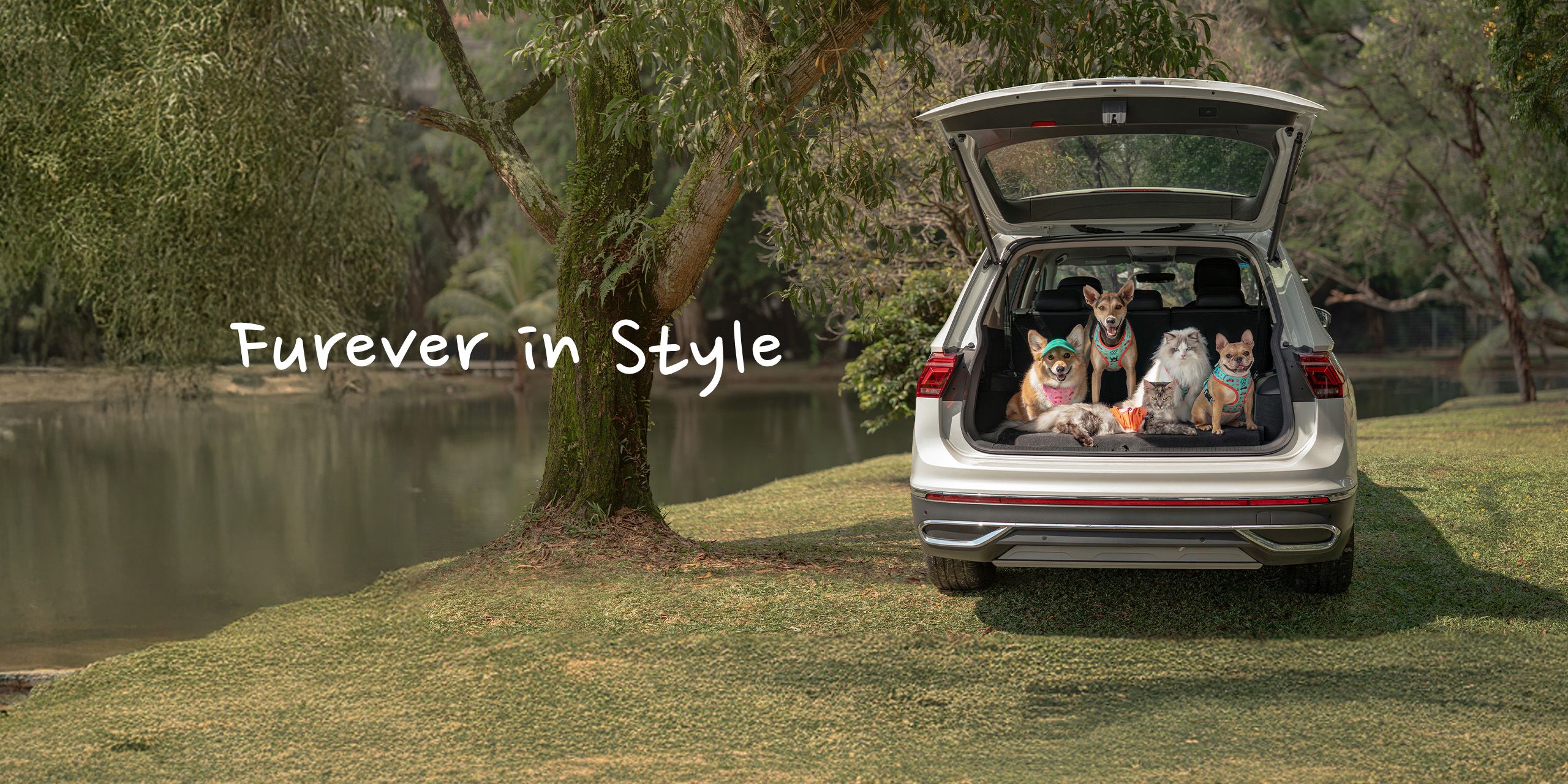 A group of pets decked in VW pet merch posing in a VW car