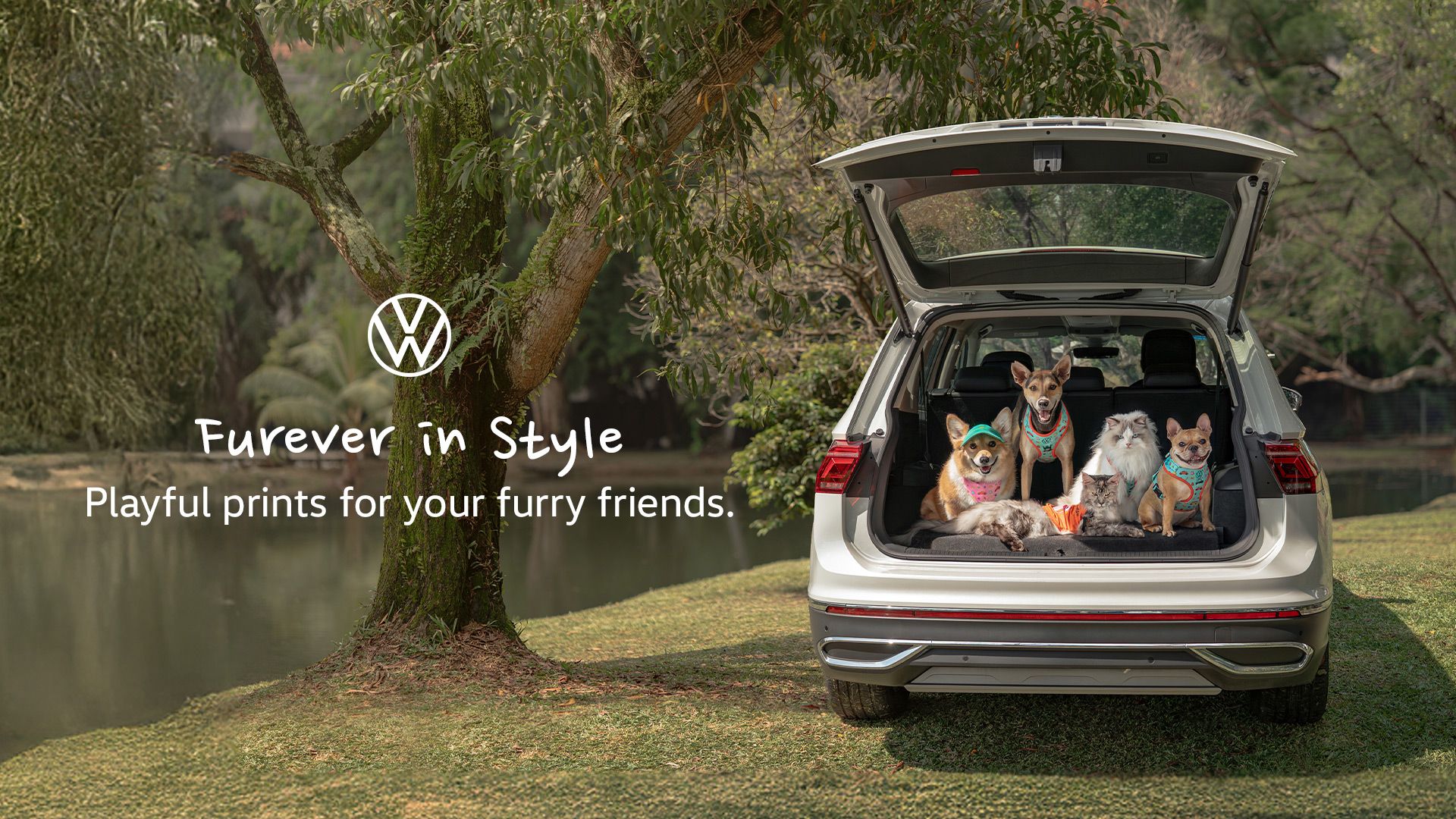 A group of pets decked in VW pet merch posing in a VW car