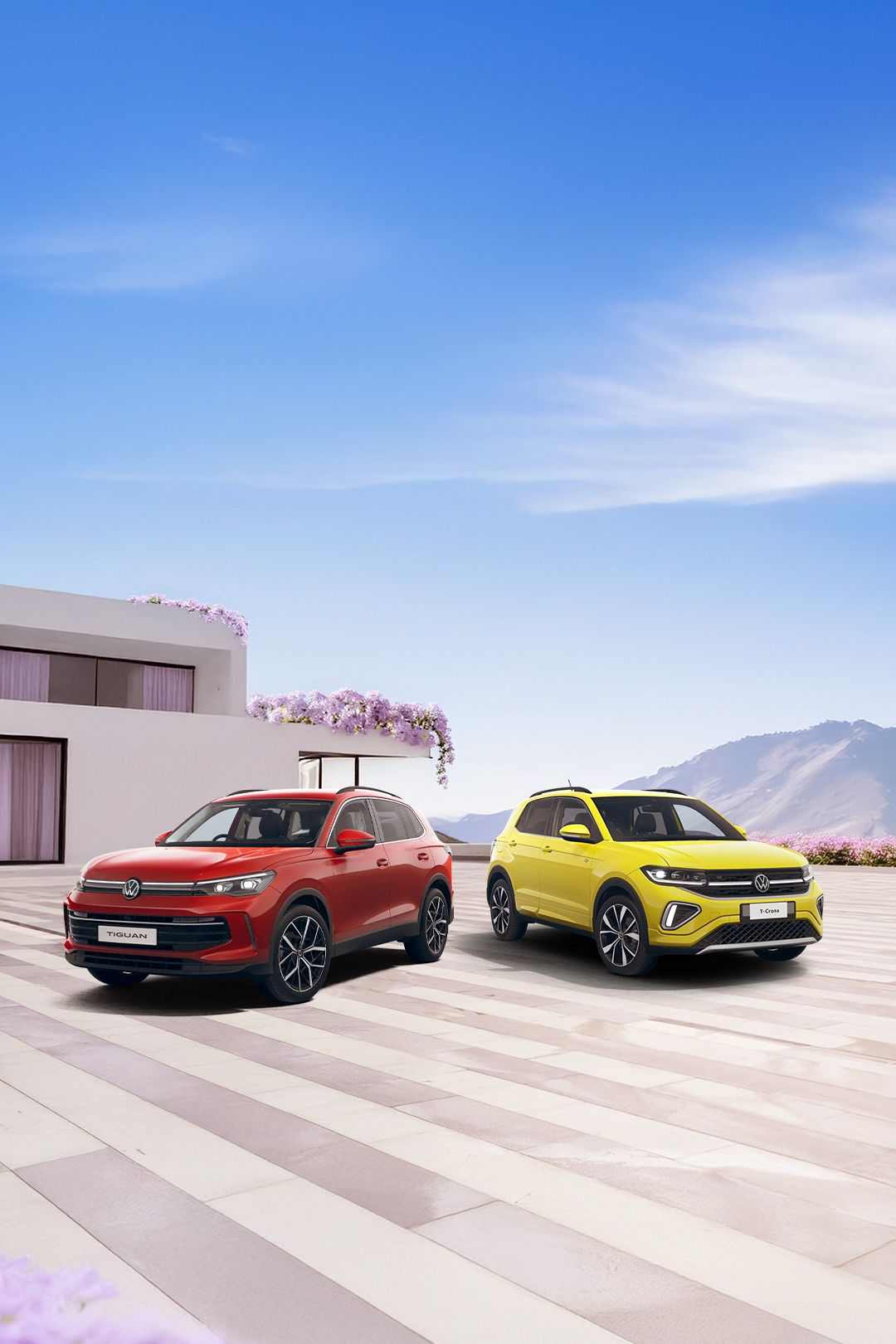 The Tiguan and T-cross showcased against a scenic pastel background